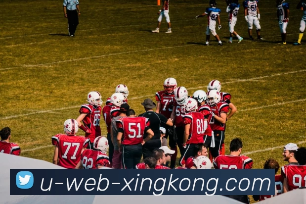 xingkong平台生态图